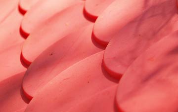 Campbeltown plastic roof costs